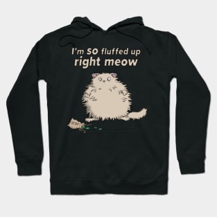 Catnip Cat So Fluffed Up Right Meow Funny Cute Fluffy Hoodie